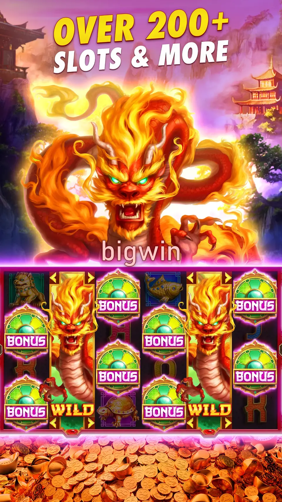 bigwin Login
